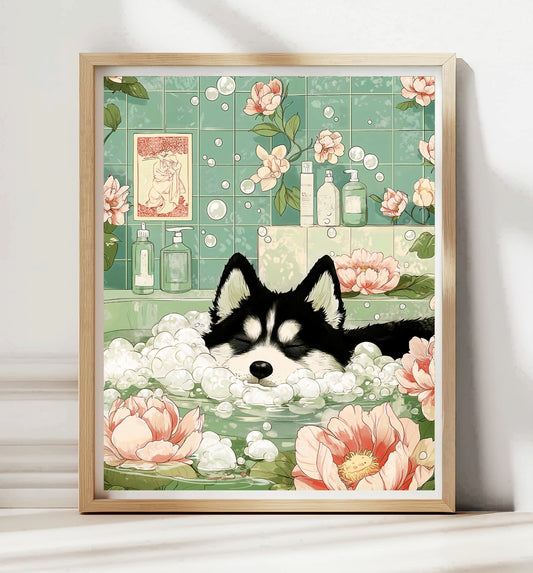 Siberian Husky in bathtub spa bathroom poster